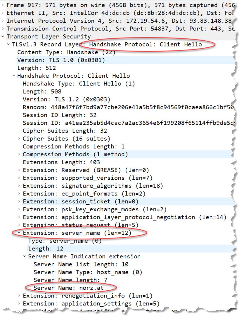 SSL-Client Hello, while containing to a Citrix NetScaler ADC, including the SNI header